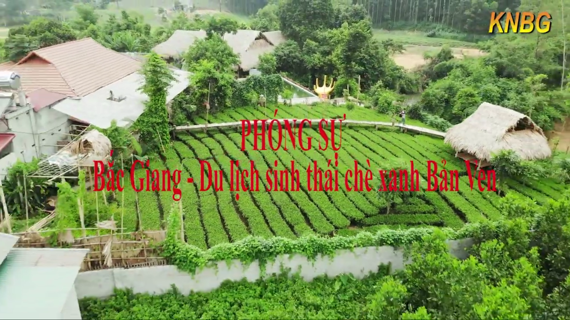 Phóng sự: Bắc Giang - Du lịch sinh thái chè xanh Bản Ven